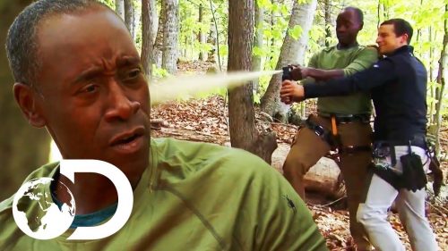 Spicing Up An Eggshell And Worm Omelette… With Bear Spray! | Running Wild With Bear Grylls