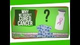 Why We Haven’t Cured Cancer…