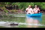 Remote Controlled Alligator Prank Just For Laughs