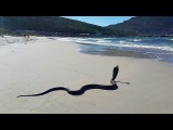 7 Most Dangerous Beaches in the World