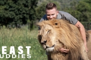 Lion King: 23-Year-Old Is Best Friends With Big Cats