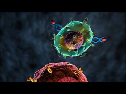 4 Advances in Immunotherapy for Cancer Treatment