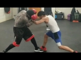 Reemo vs. Mighty mouse