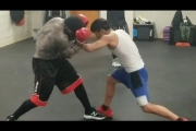 Reemo vs. Mighty mouse