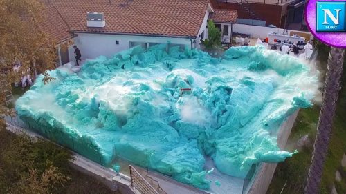 World Record Elephant Toothpaste w/ David Dobrik
