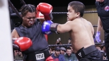 Dwarfs Fight For Championship Belt