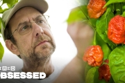 How This Guy Made the World’s Hottest Peppers