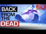 Frozen humans brought back to life