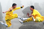 Why Martial Arts Are Suddenly Being Exposed as Fake