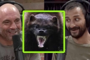 “Alone” Winner Jordan Jonas Tangled with a Wolverine