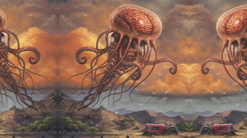 We’re Inside A Larger Organism