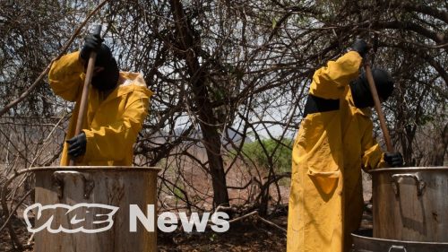 Inside the Sinaloa Cartel’s Fentanyl Smuggling Operations