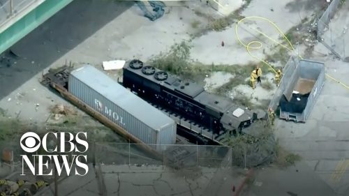 Man intentionally derailed train near hospital ship