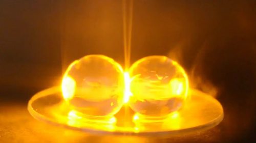 How Microwaving Grapes Makes Plasma