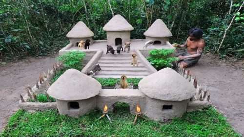 Rescue Abandoned Puppies Building Mud Dogs House With Swimming Pool