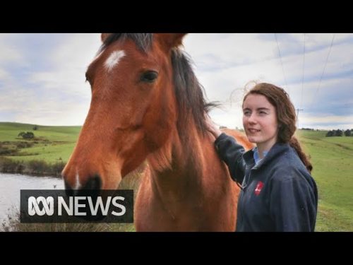 Students are fighting climate change, one TikTok video at a time | ABC News
